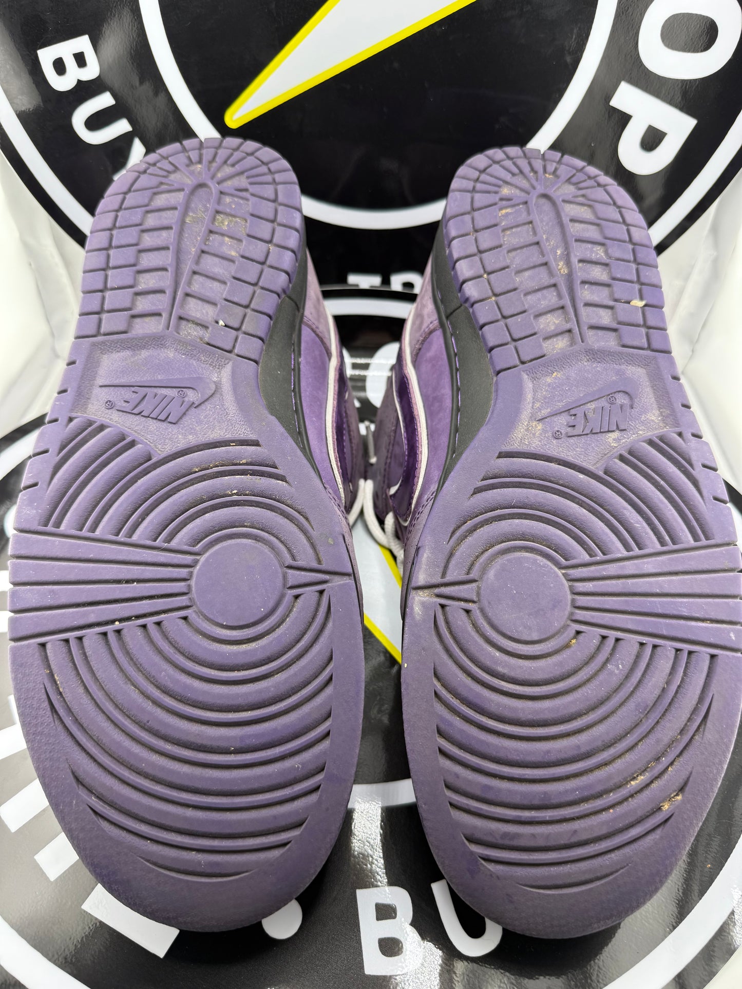 Nike SB Dunk Low - Concepts Purple Lobster - Size 12M / 13.5W