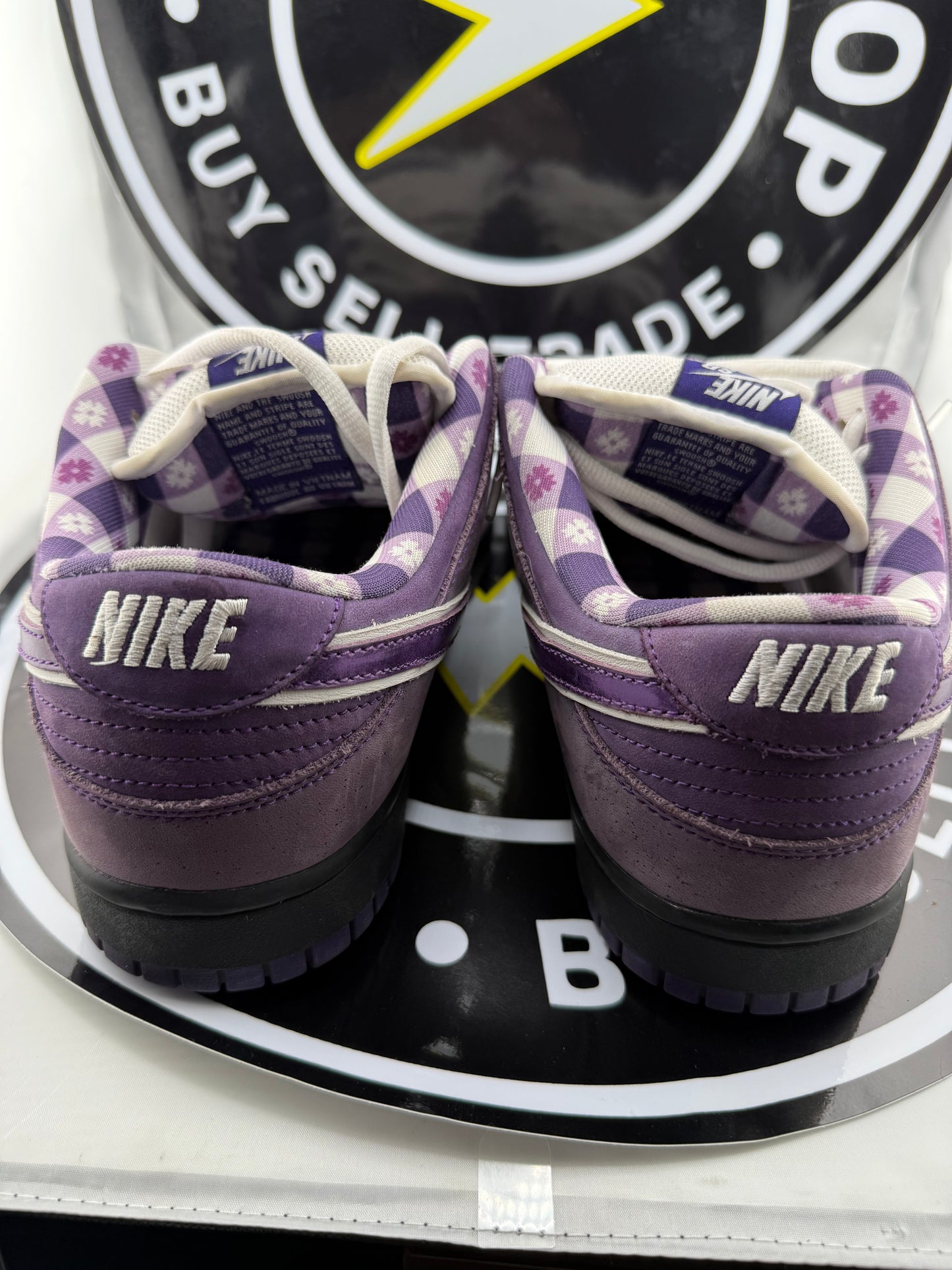 Nike SB Dunk Low - Concepts Purple Lobster - Size 12M / 13.5W