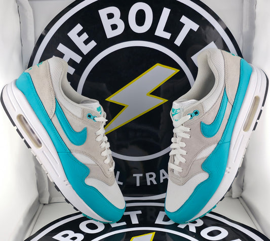 Nike Air Max 1 - Dusty Cactus - Size 10M / 11.5W