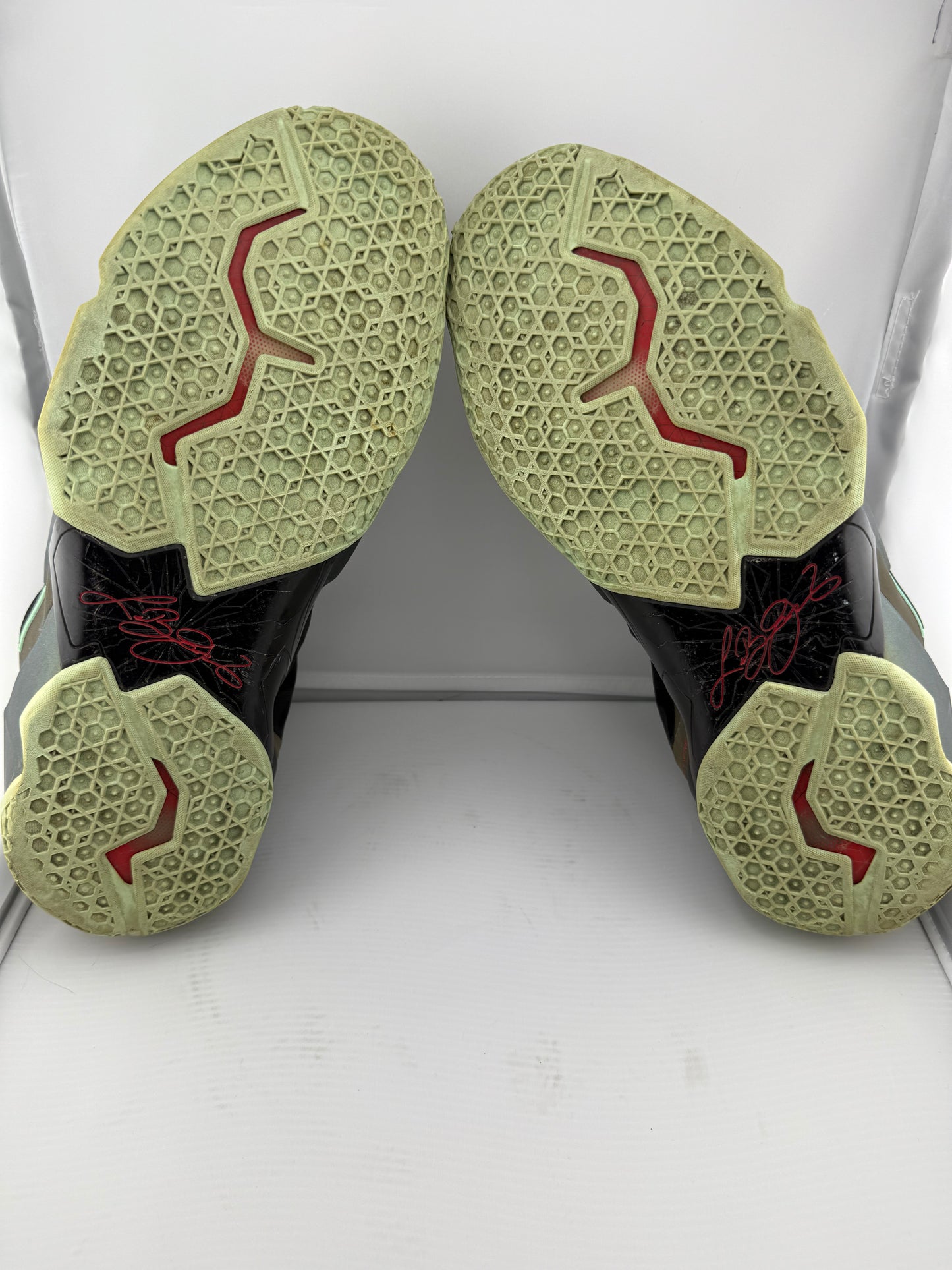 Nike LeBron 11 - “Kings Pride” - Size 13M / 14.5W